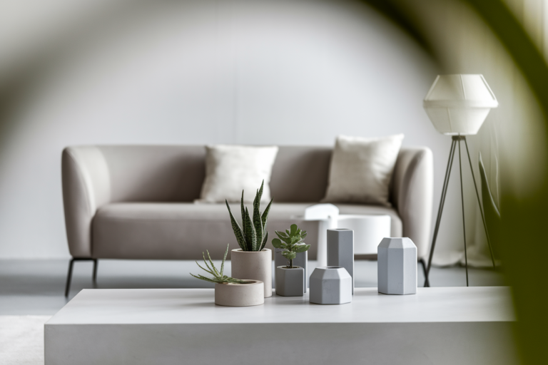 Comment intégrer des éléments de décoration dans une maison au style minimaliste ?
